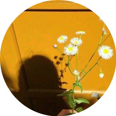 201Rud's profile picture. 