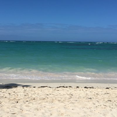 KarinaT01108729's profile picture. 