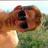 five_colors's profile image
