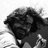 Cantautore_Ste's profile image