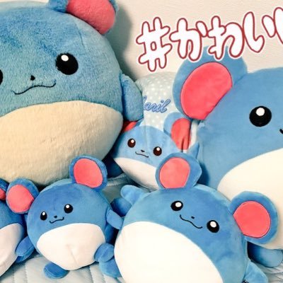 もじゃぴ Moja2mori Twitter もじゃぴ Moja2mori Twitter