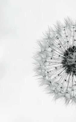 Xanthex16's profile picture. 