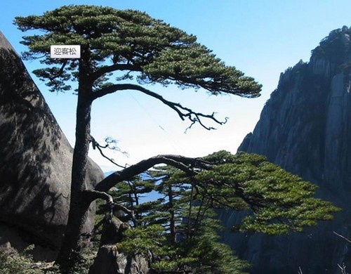 chenjianjim's profile picture. 