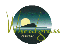 WheatgrassClewB's profile picture. We specialise in growing high quality naturally grown wheatgrass delivered direct to your door
