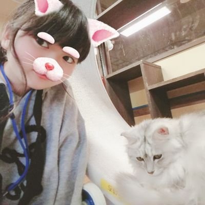 peach95057521's profile picture. 勉強垢です
中学三年生の受験生
記憶力と理解力がなくて苦戦してます
社会の先生なりたくて、高校生で上を目指して行きたい大学があります
こんな私をどうかご協力ください