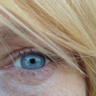 Médiatrice en charge de projets artistiques et culturels pour le pôle arts plastiques de Six-Fours-Les-Plages