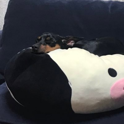 こころきりんさんのプロフィール画像