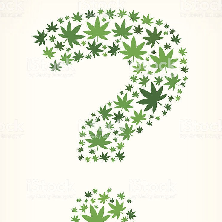 I wish to remain anonymous due to potential conflict of interest. I have been around the cannabis industry for many years. I believe in sharing information.