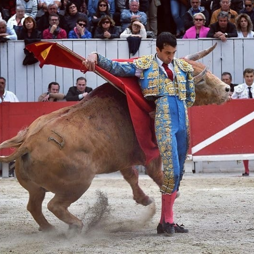 Peña del Maestro Thomas Joubert