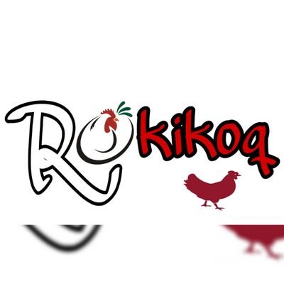 ROKIKOQ vous propose une fourniture qualitative et quantitative en poulets de chair et ses dérivés. Choisissez ROKIKOQ, choisissez la satisfaction