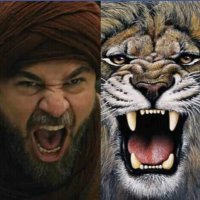 Muhammad Shafiq 🏹 (@mshafiq1978) 's Twitter Profile