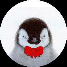 보리さんのプロフィール画像