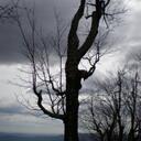 .kyle lemieux. - @out4aiir - Twitter