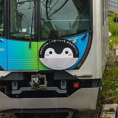 STさんのプロフィール画像
