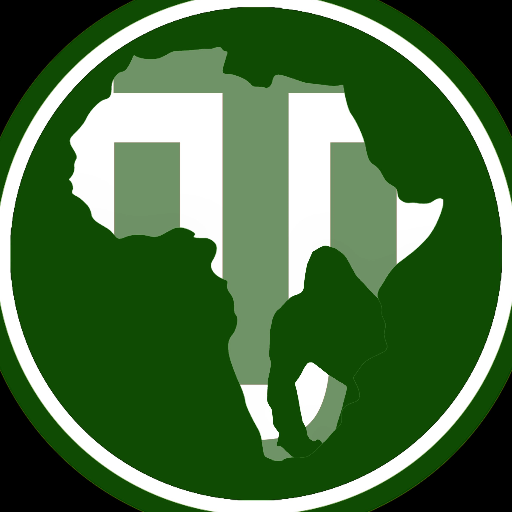 ToursUsalama's profile picture. Usalama Tours offers unique tour experiences within #Rwanda #Uganda & #DRC #visitrwanda #travel #kigali #hotel. 📨 usalamatours@gmail.com 
📌 Gorilla trekking