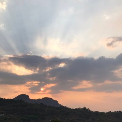 JOsorioA2's profile picture. 