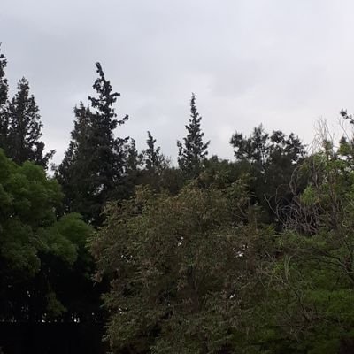 atr643634579214's profile picture. guven gizlik sart  yüz resmini atmadan olmaz 20 30 yaş arasi yerim var aksamlari memnun kalirsiniz