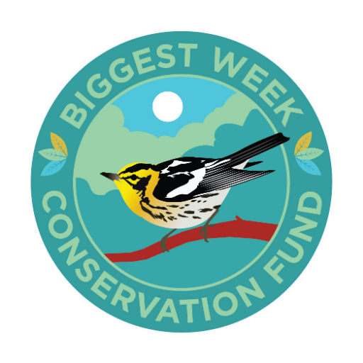 BiggestWeek Profile Picture