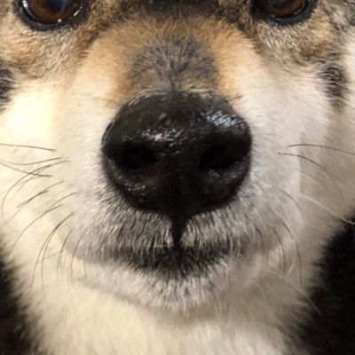 I am a College student that Major in Information Science in Japan . I want to practice English. python/java/JS recently I learn php