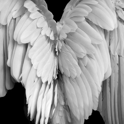 Cervenka3's profile picture. 👉国内账号购买： https://t.co/9Wh1lKqhKk
👉国外账号购买：https://t.co/v2kat6QIXn 
👉全球接码：https://t.co/iZ32ATKMcj 
👉全球APP刷粉： https://t.co/RbEsQ2o1o1 
实名手机卡:https://t.co/a3IIOop4X0
商城在线客服：https://t.co/a9ZTtZSOcC