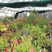 PoppletonRlyNursery (@pcrnpublicity) 's Twitter Profile Photo