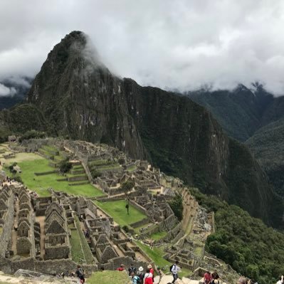 ArriveChristop1's profile picture. Du bon sens et du bon sens ⚡️PFM⚡️🐢.   #TAEM