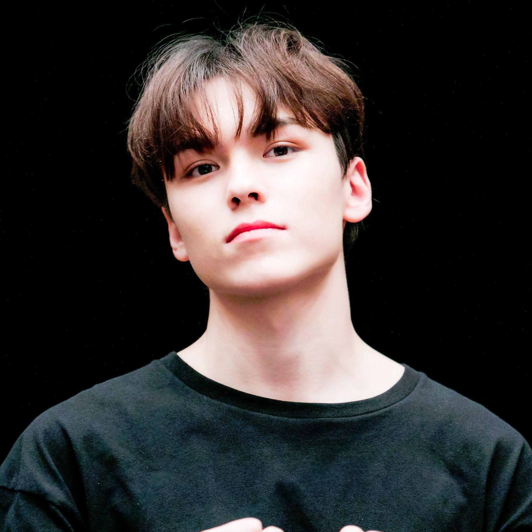 SEVENTEEN VERNON ❤︎170601〜ing 로고크롭✖︎ 2차가공✖︎ 무료나눔 및 판매용 물품에 사진 사용 ✖︎