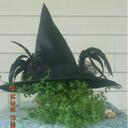 Simone G - @SimoneGoldstein - Twitter