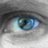 showduik's profile image