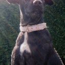 Philippa Rose - @PatterdalePip_ - Twitter