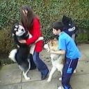 bethany vickers - @diamonddevilst1 - Twitter