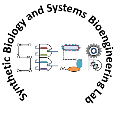 #SynBio #ProteinEngineering #MetabolicEngineering #MicrobiomeEngineering lab @TuftsUniversity @TuftsEngineer 
@Nair_lab@mastodon.social @nair-lab.bsky.social