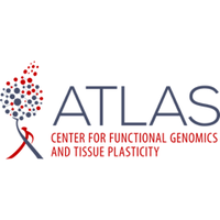 ATLAS (@atlas_sdu) 's Twitter Profile