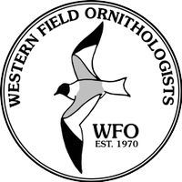 Western Field Ornithologists (@wfornithology) Twitter profile photo