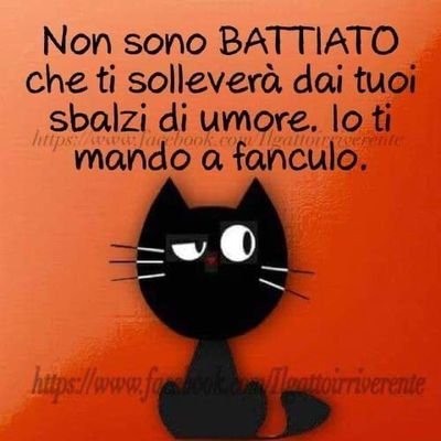 waldini2's profile picture. 