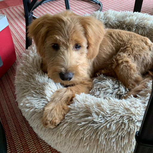 TerrieDillon's profile picture. 