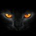 feri.pitbull (@feripitbull) Twitter profile photo feri.pitbull (@feripitbull) Twitter profile photo