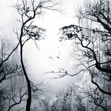 MOIllusions's profile picture. Mighty Optical Illusions. Internet biggest optical illusions blog. Daily updated!