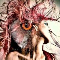 lady owl (@scandy1029) 's Twitter Profile