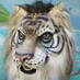 TheBeastcub (@thebeastcub) Twitter profile photo TheBeastcub (@thebeastcub) Twitter profile photo