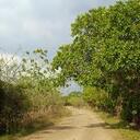 Paul Salm - @PSalm241 - Twitter