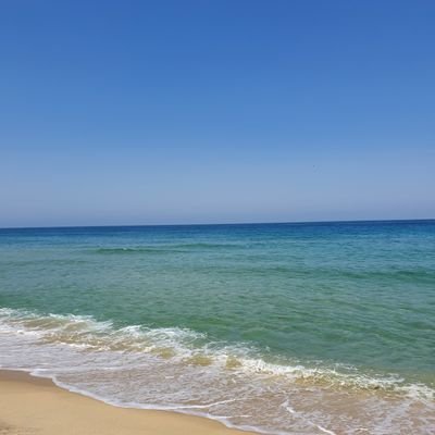 필우さんのプロフィール画像