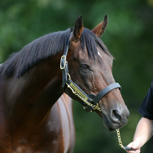 Young Stakes Producing Son of Fastnet Rock standing at Berkley Stud in 2019