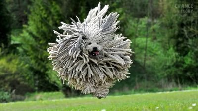 jwSUUqQkgTqjs7k's profile picture. Радуюсь жизни.