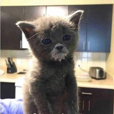 erin__w4's profile picture. I ain’t shit.