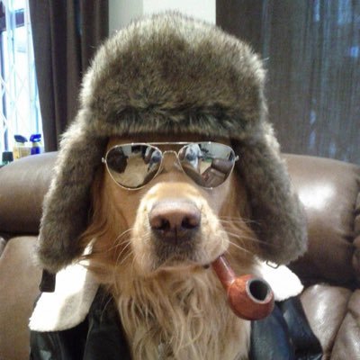 FinlowIan's profile picture. 