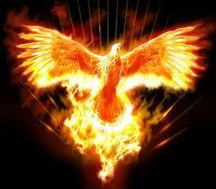 Phoenix Soccer Club
Fênix Futebol Clube
Follow !! =]