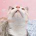 ํฌ๋๋ชฝ๋ชฝ (@podomong) Twitter profile photo ํฌ๋๋ชฝ๋ชฝ (@podomong) Twitter profile photo