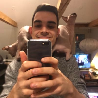 br0llercoaster's profile picture. 