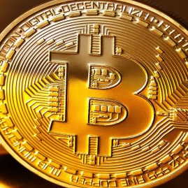 Happine77289095's profile picture. 